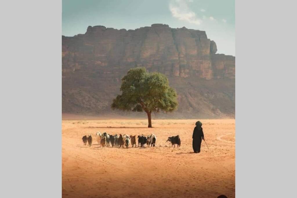 Bedouin Nature Travels Вади Муса Экстерьер фото