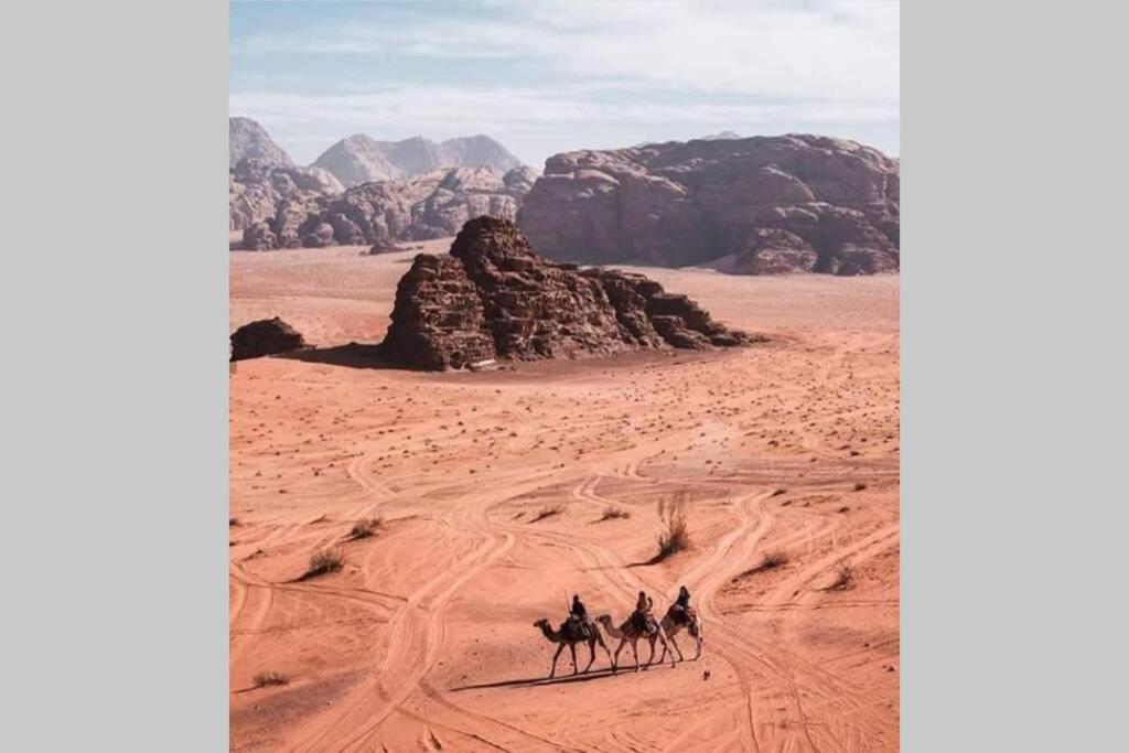 Bedouin Nature Travels Вади Муса Экстерьер фото