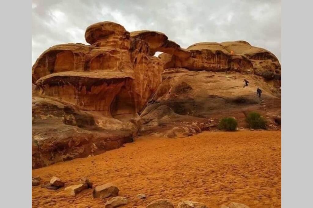 Bedouin Nature Travels Вади Муса Экстерьер фото