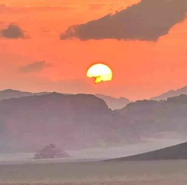 Bedouin Nature Travels Вади Муса Экстерьер фото