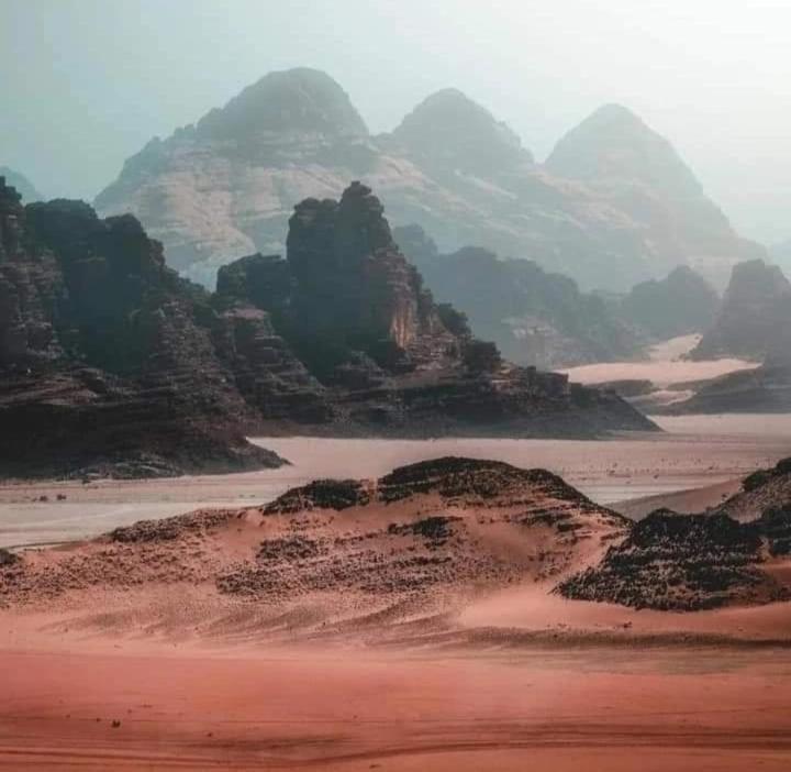 Bedouin Nature Travels Вади Муса Экстерьер фото