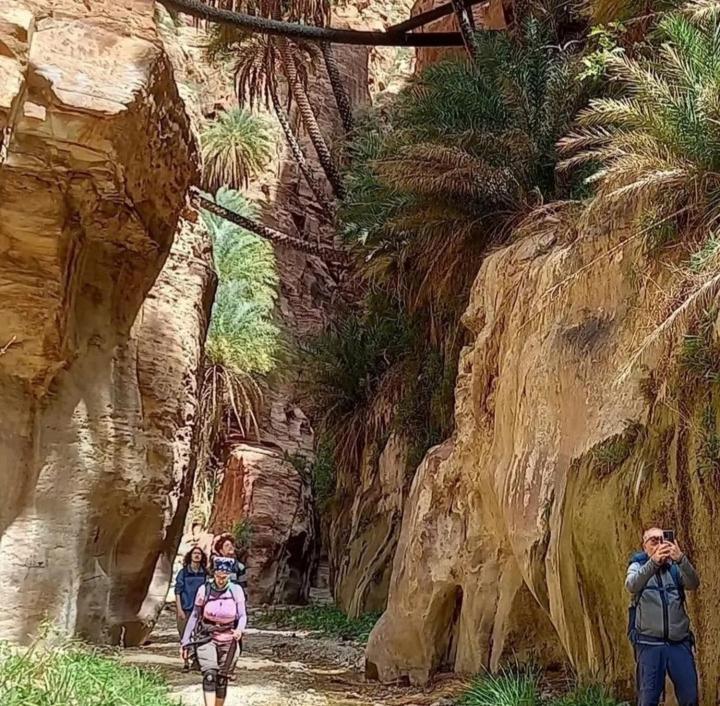 Bedouin Nature Travels Вади Муса Экстерьер фото